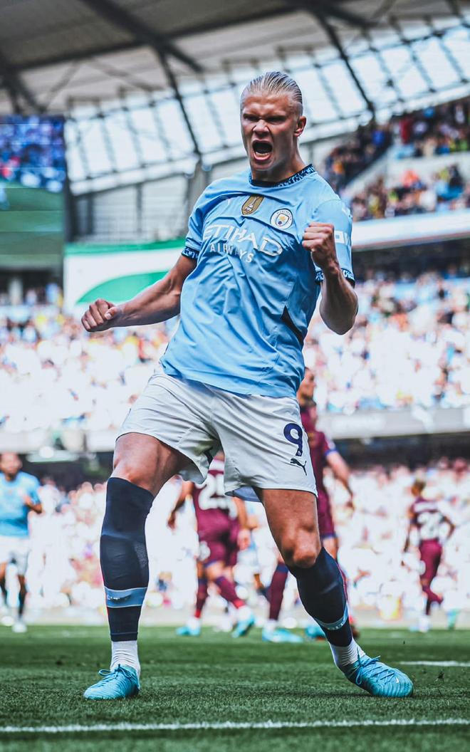 鸟的经验将 鸟的经验将