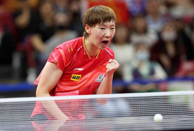 的观赏性与 的观赏性与