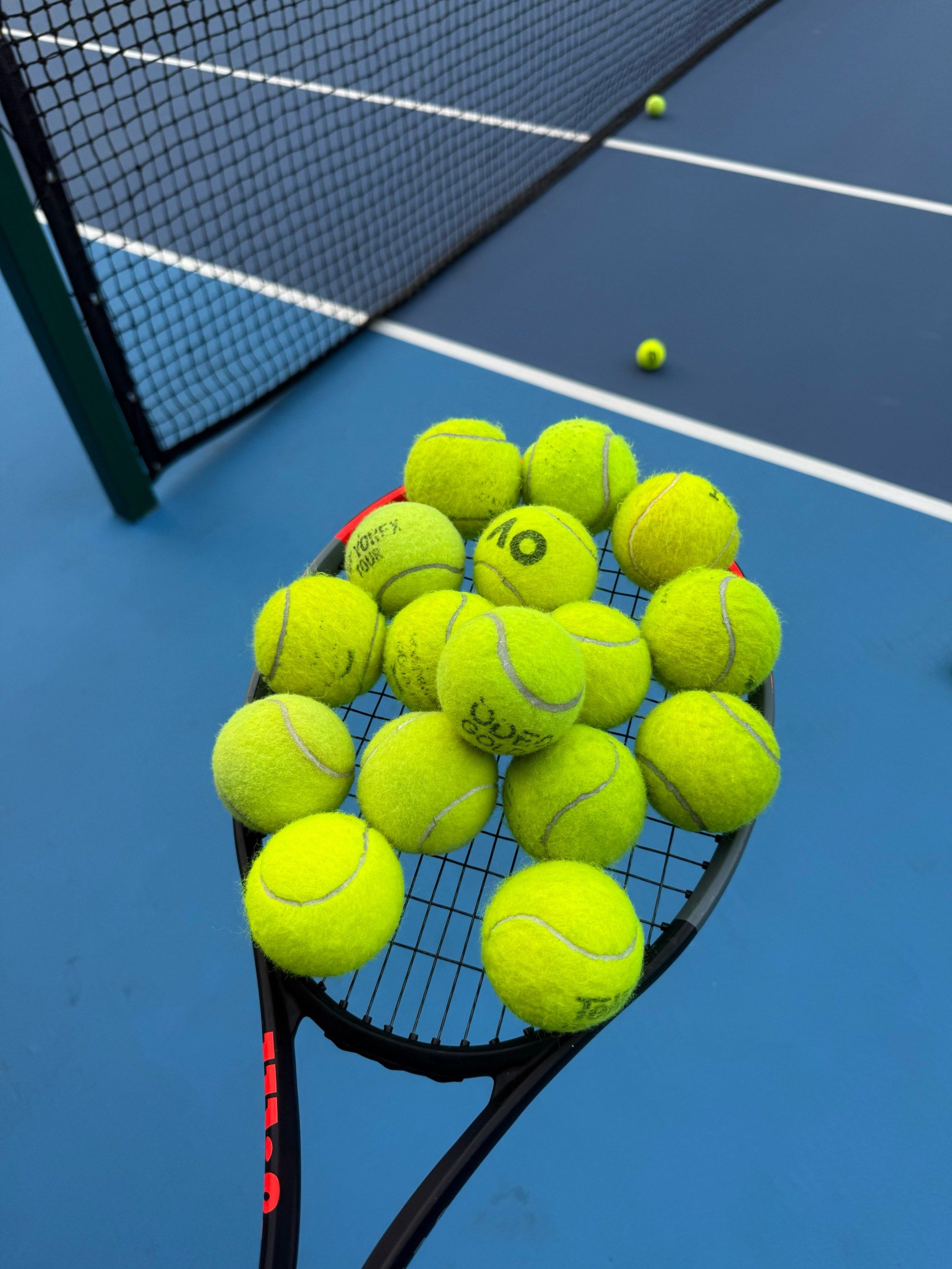 更像是一条 更像是一条