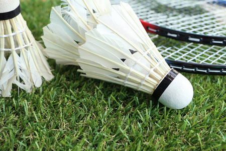 许多资深球 许多资深球